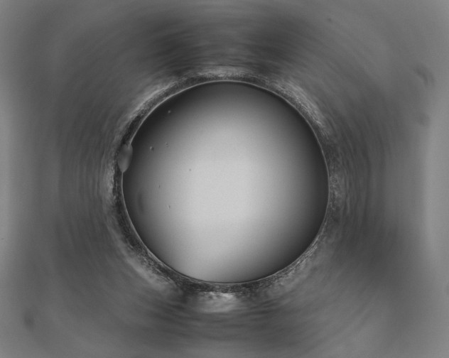 X0000112510159200908171341