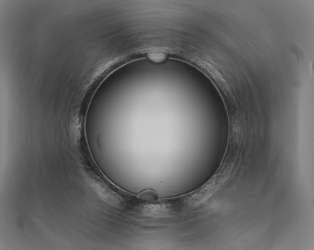 X0000112510160200908171341