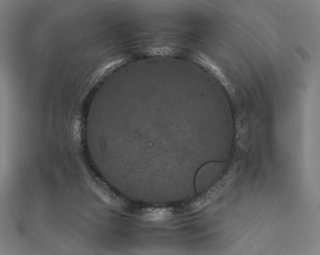 X0000112510161200908171341