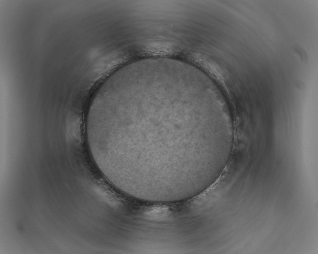 X0000112510162200908171341