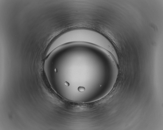 X0000112510164200908171341