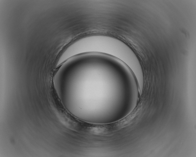 X0000112510168200908171341