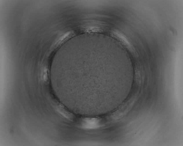 X0000112510169200908171341