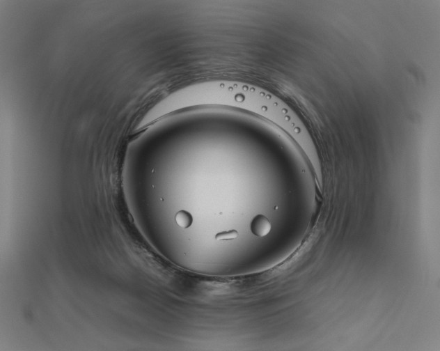 X0000112510170200908171341