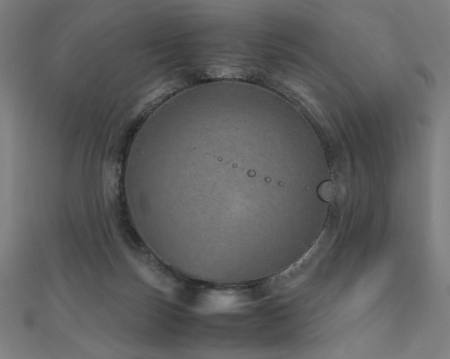 X0000112510171200908171341