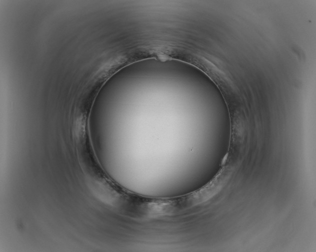 X0000112510172200908171341