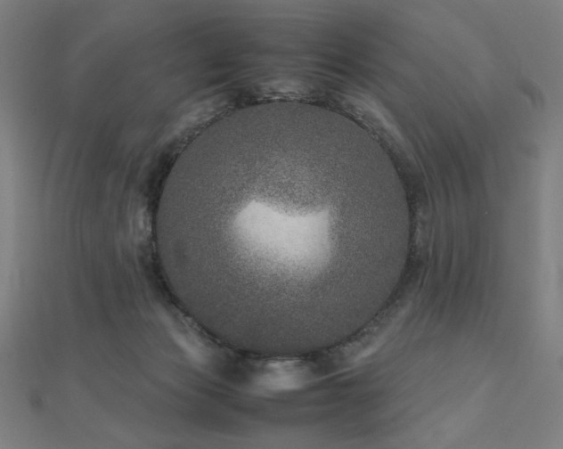 X0000112510173200908171341