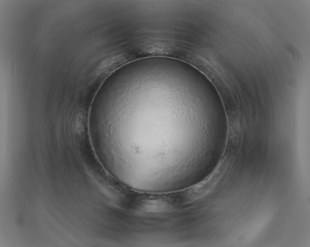 X0000112510175200908171341