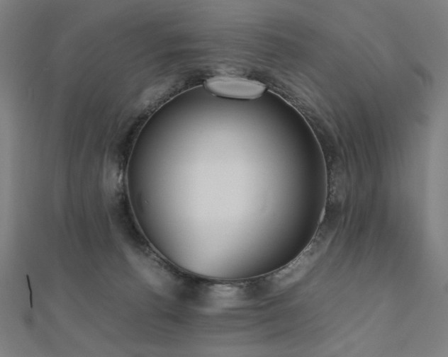 X0000112510176200908171341