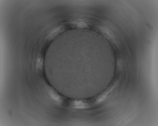 X0000112510177200908171341