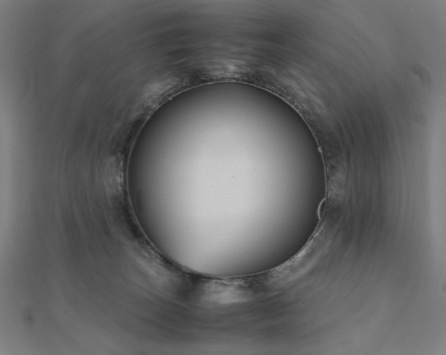 X0000112510179200908171341