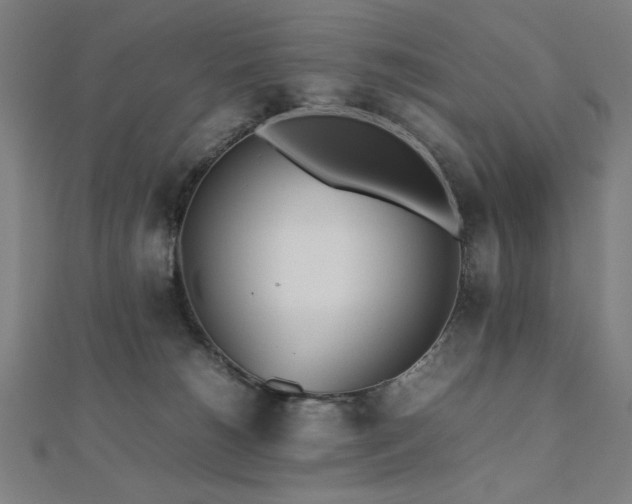 X0000112510180200908171341