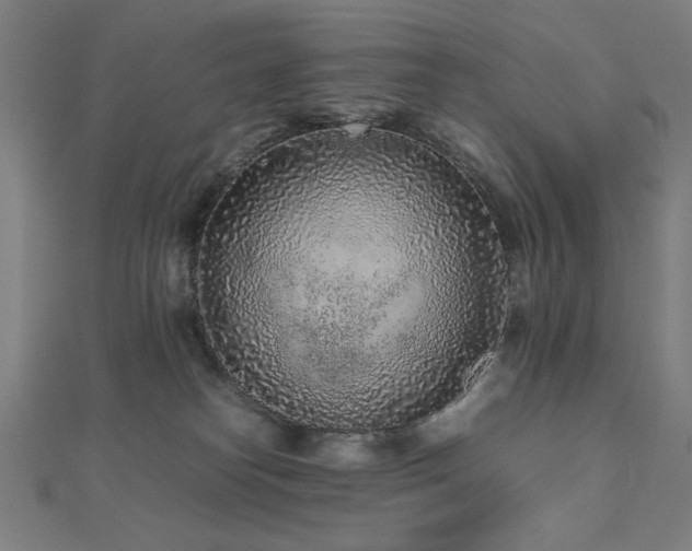 X0000112510182200908171341