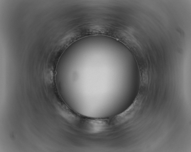 X0000112510183200908171341