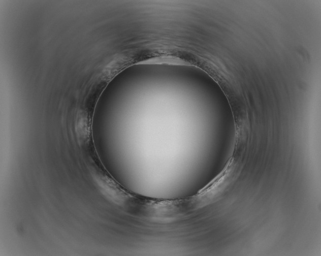 X0000112510186200908171341