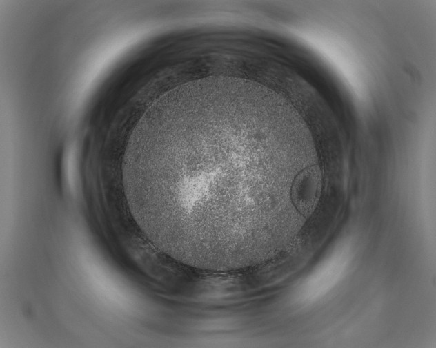 X0000112510189200908171341