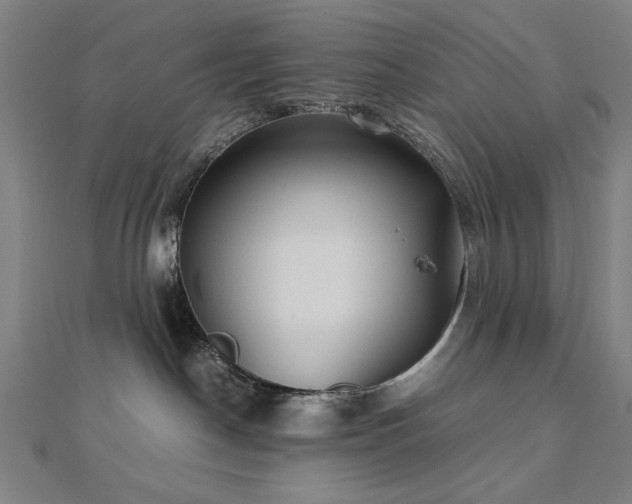 X0000112510190200908171341