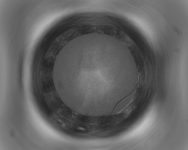 X0000112510191200908171341