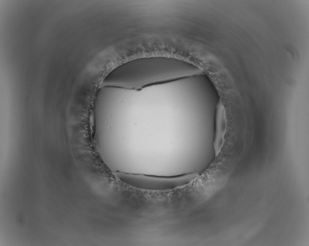 X0000112510192200908171341