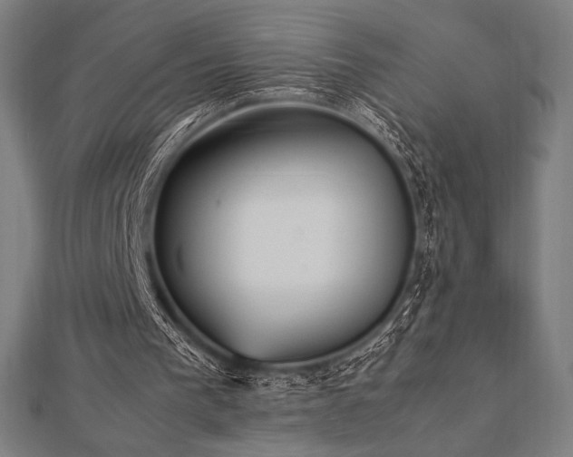 X0000112510193200908171341