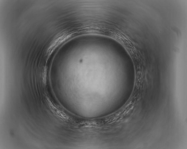 X0000112510194200908171341