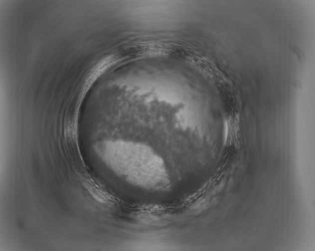 X0000112510195200908171340