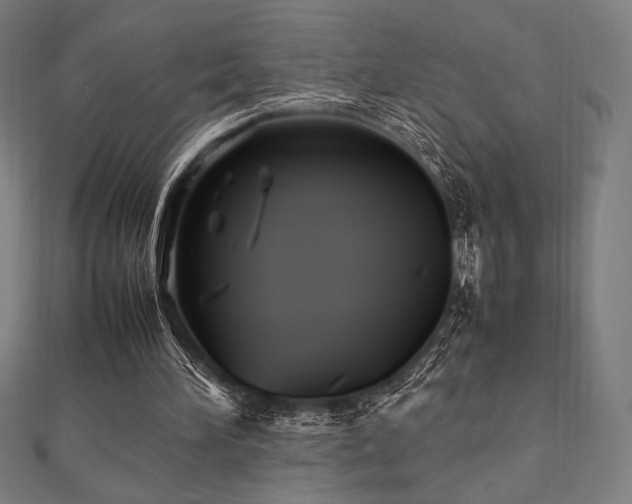 X0000112510196200908171340