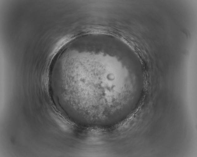 X0000112510199200908171340