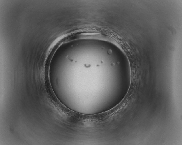 X0000112510200200908171340