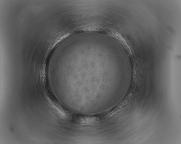 X0000112510202200908171340