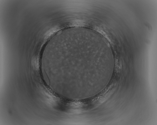 X0000112510203200908171340