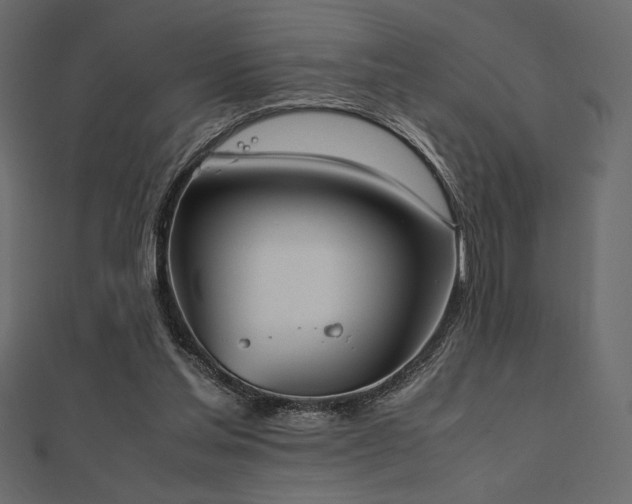 X0000112510205200908171340