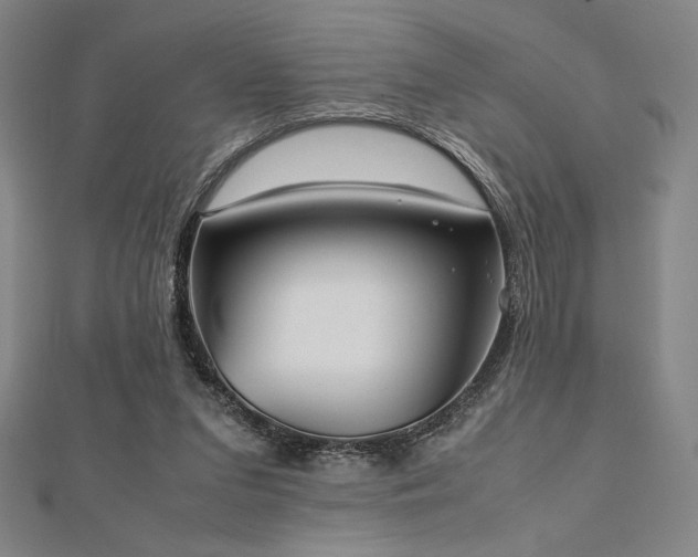 X0000112510207200908171340