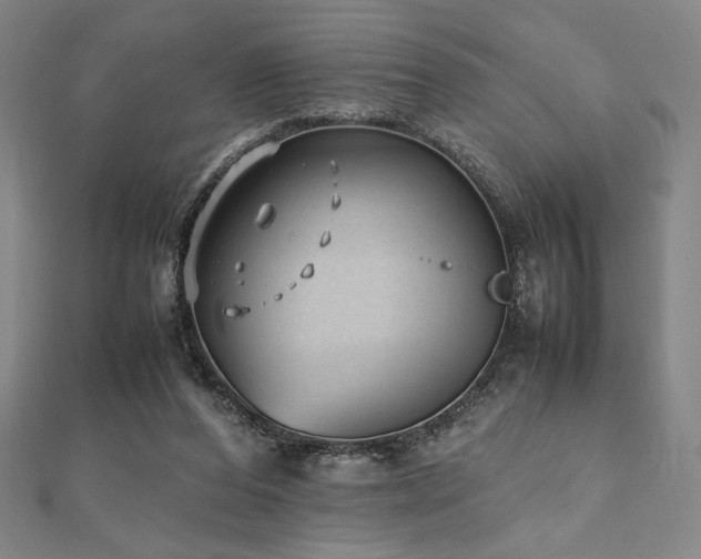 X0000112510208200908171340