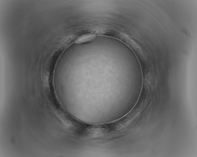 X0000112510209200908171340