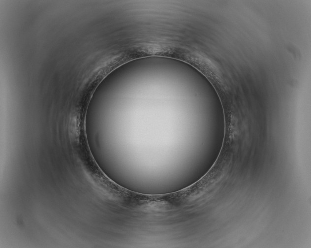 X0000112510210200908171340