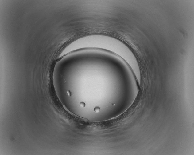 X0000112510211200908171340