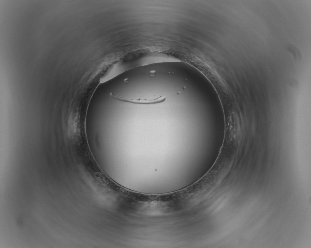 X0000112510212200908171340