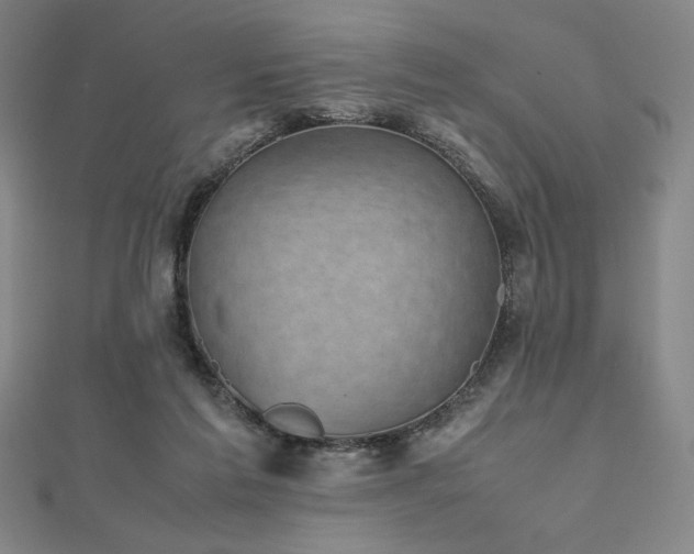 X0000112510213200908171340