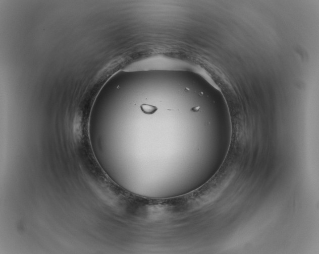 X0000112510216200908171340