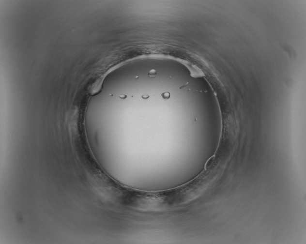 X0000112510217200908171340