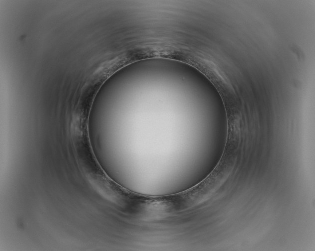 X0000112510218200908171340