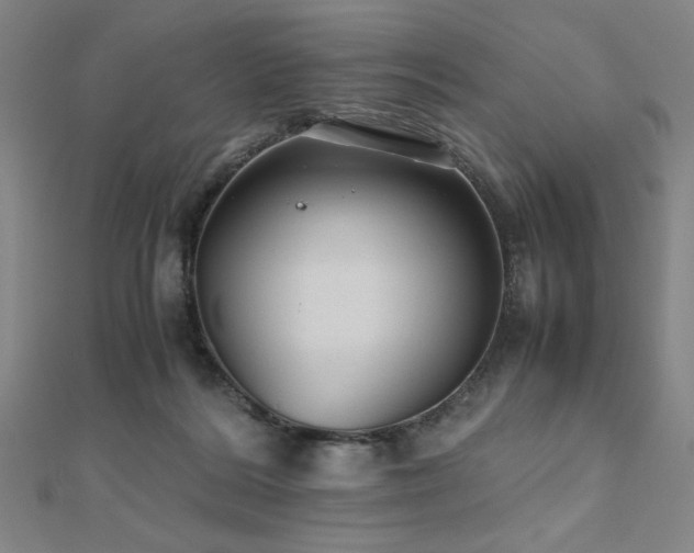 X0000112510220200908171340