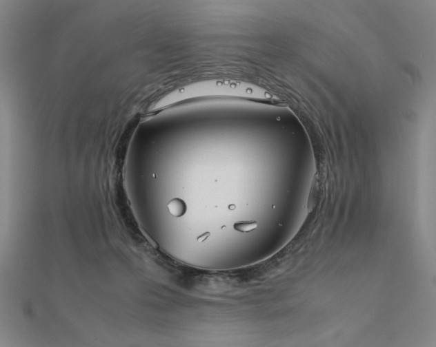 X0000112510223200908171340