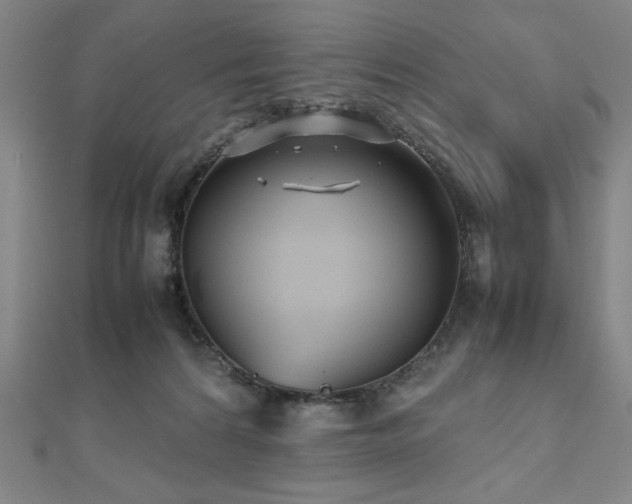 X0000112510224200908171340