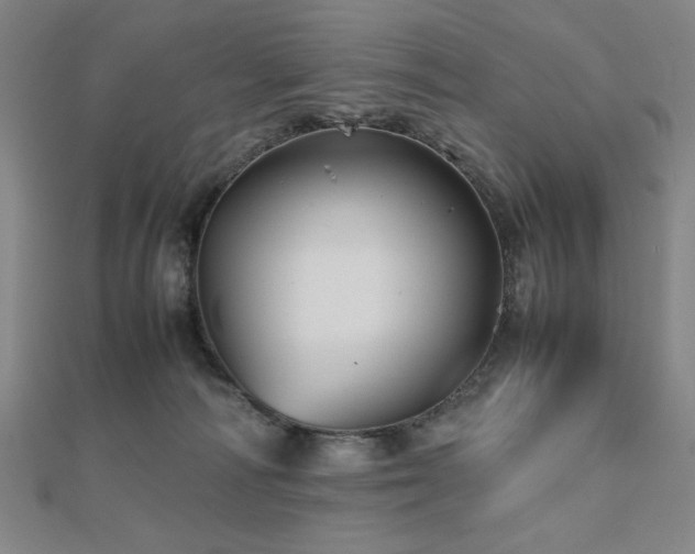 X0000112510226200908171340