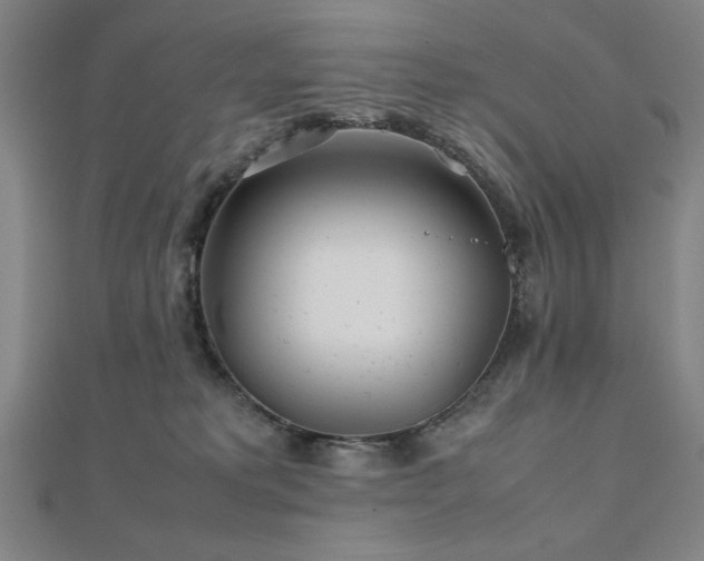 X0000112510229200908171340