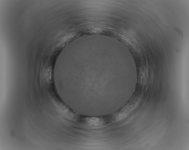 X0000112510230200908171340