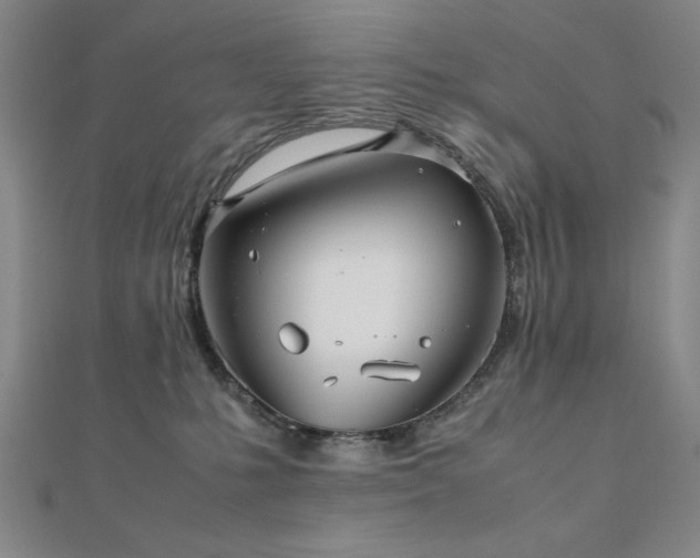 X0000112510231200908171340