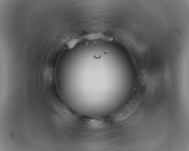 X0000112510232200908171340